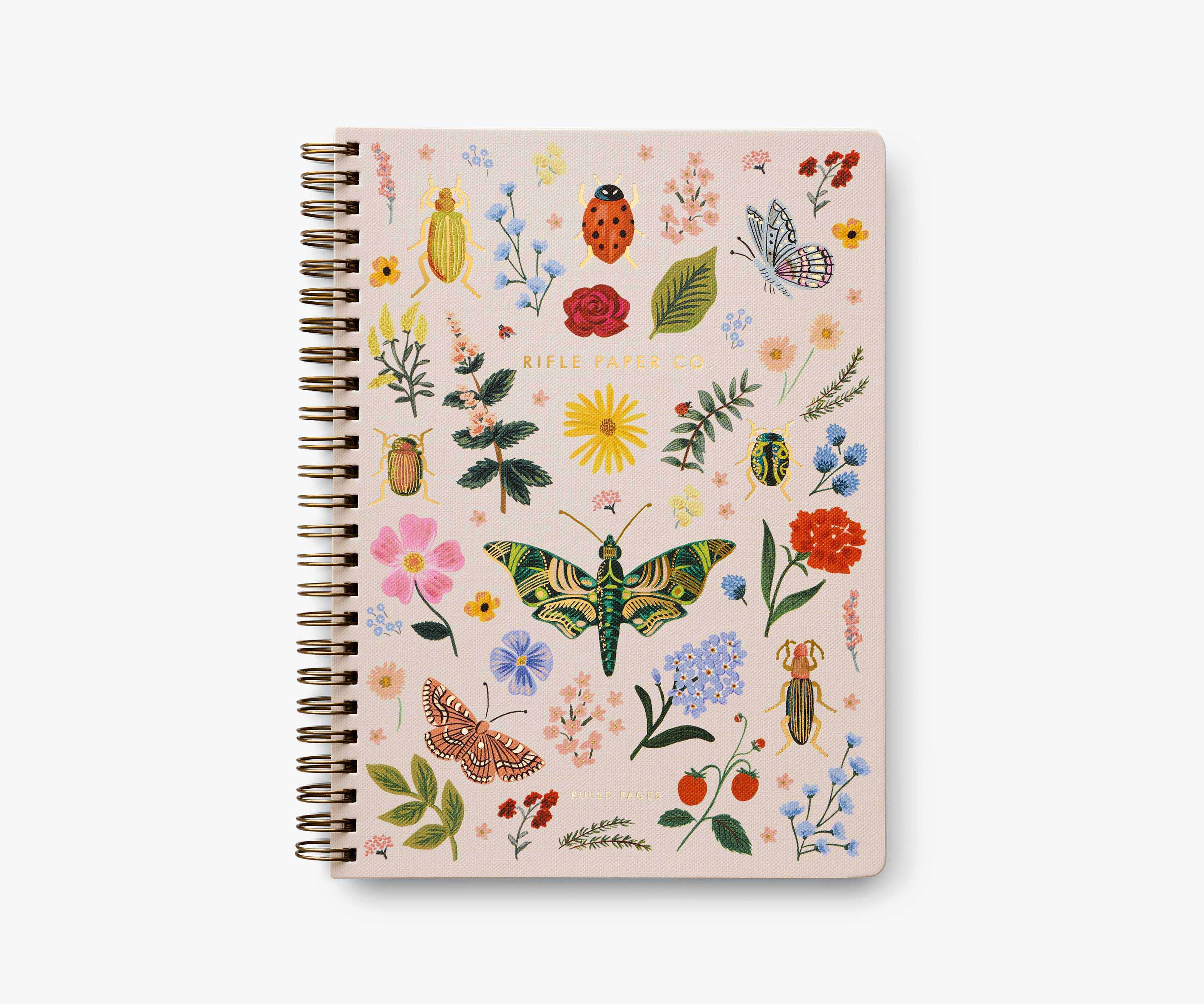 Spiral Notebook - Curio